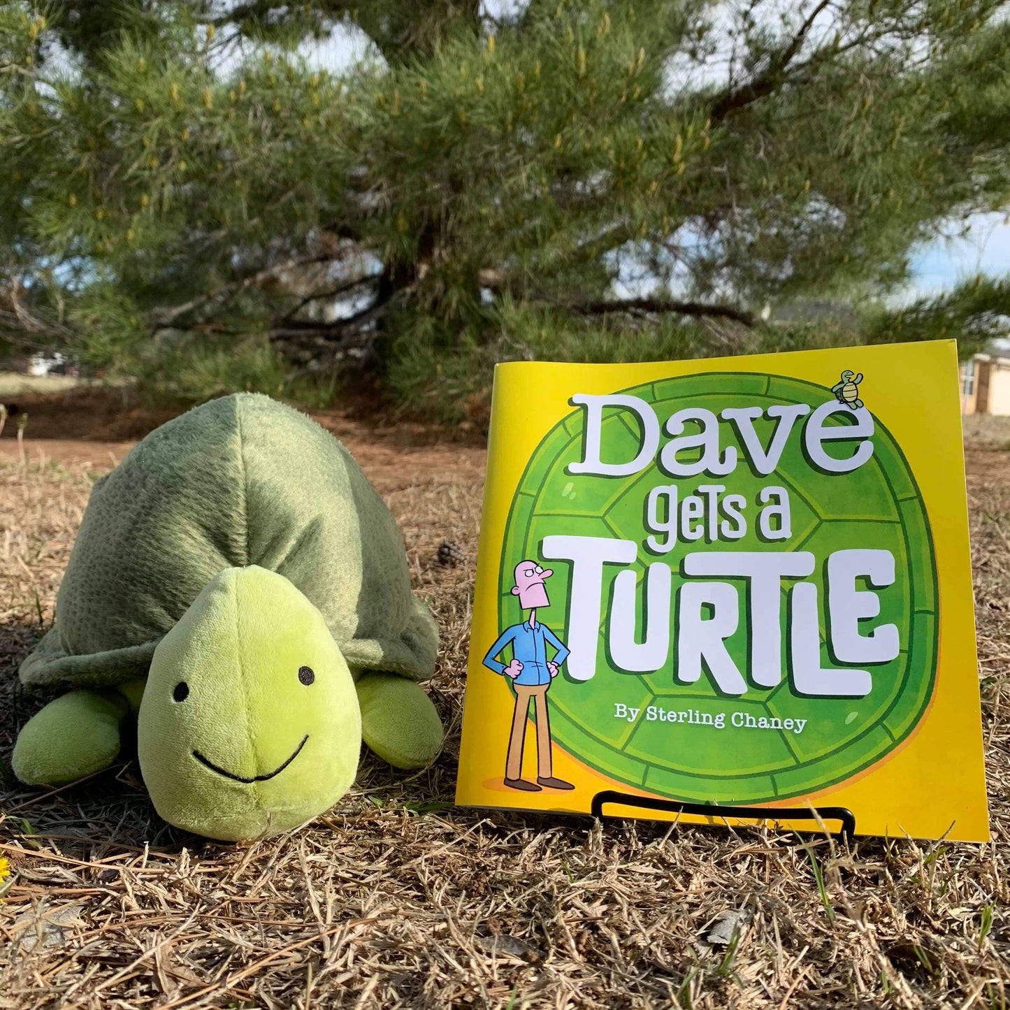 Dave Gets A Turtle - Children's Book by Sterling Chaney