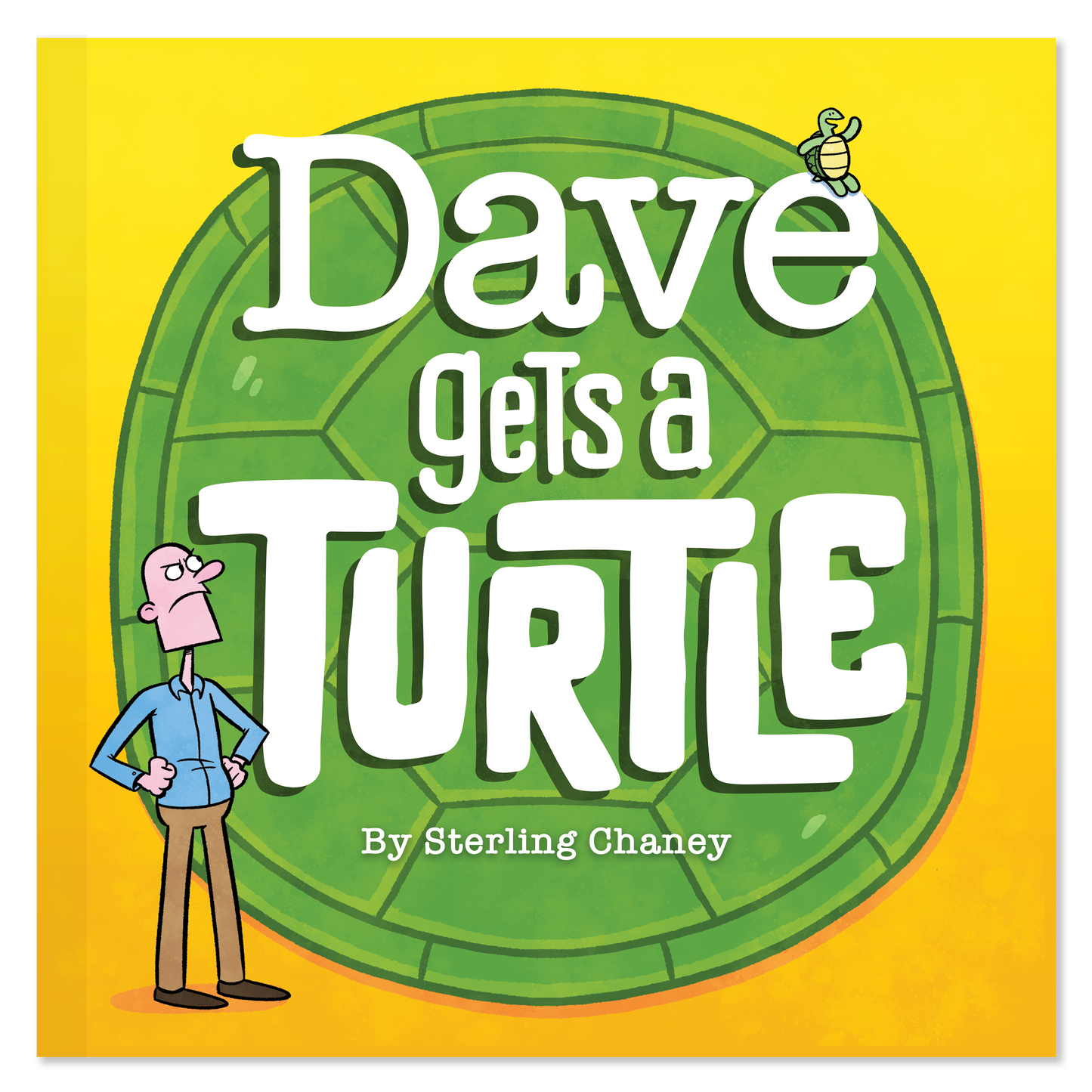 Dave Gets A Turtle - Children's Book by Sterling Chaney