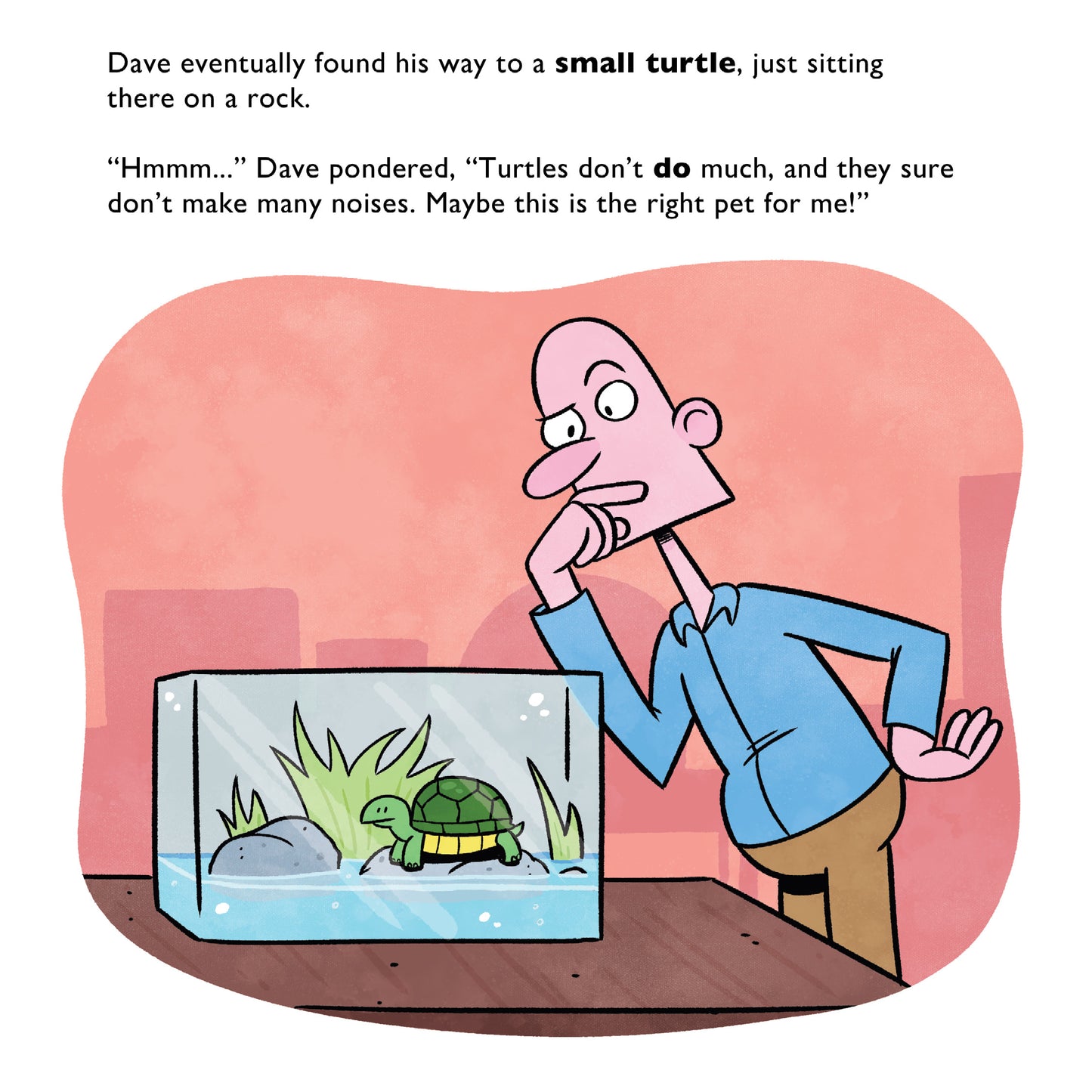 Dave Gets A Turtle - Children's Book by Sterling Chaney