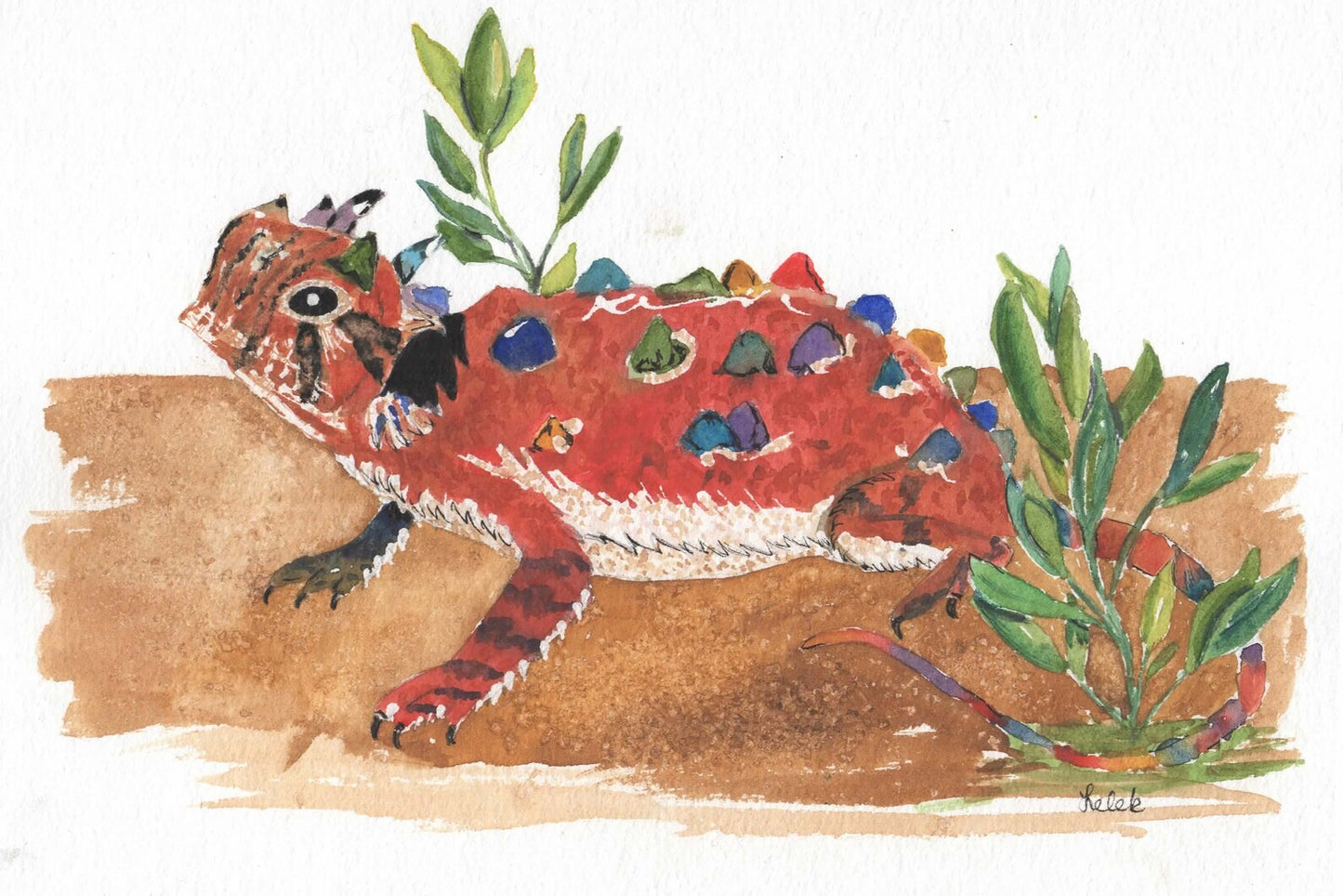 Texas Horney Toad 8x10 Print